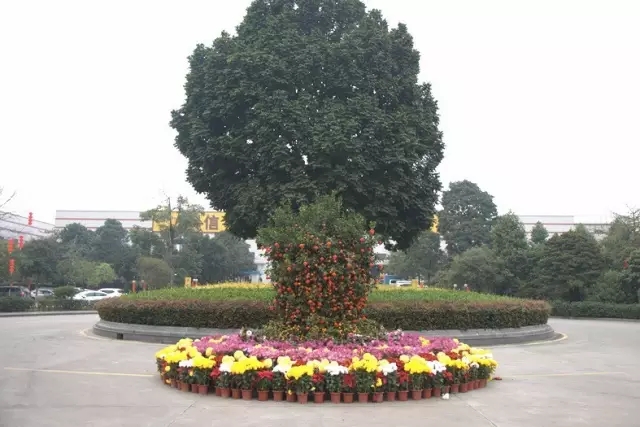 龉-ٷW(wng)վ