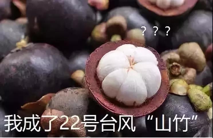 龉-ٷW(wng)վ